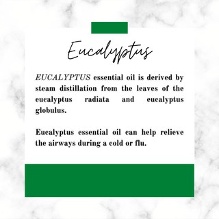 EUCALYPTUS 100% Pure Essential Oil 10 ml (4)