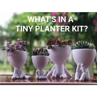 Tiny Human Planter / Pot For Succulents and Cactus