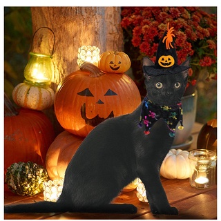 Halloween pet pumpkin hat Hat dog cat Christmas pet cat dog Halloween party decorations (3)