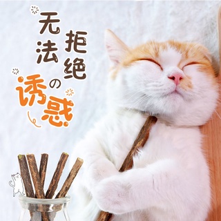 Catnip Stick Cat chew stick Natural Mint Stick Cat Teeth Molar Cleaning Care Actinidia cat food