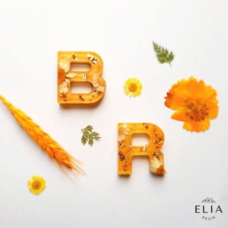 Pagbebenta ng clearance Customizable Letter Initial Ref Magnet (Resin Handmade by Elia)