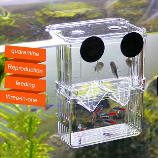 Clear Fish Breeding Box Aquarium Breeder Double Hatching Incubator Boxes