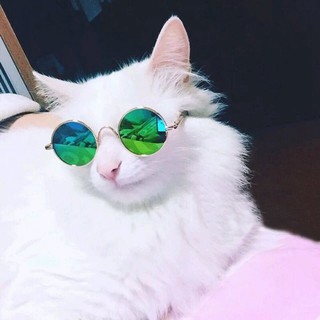 Fashion Pet Sunglasses Dog/Cat UV Protection Cool Glasses (2)