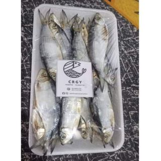 Tuyo Dried Fish From Bataan Properly Packed and Good Quality