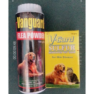 V-Gard FLEA powder or Sulfur soap cats and dogs
