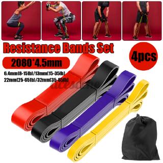 ACE 4pcs Resistance Bands Set Exercise Fitness Tube Workout Bands Strength Training