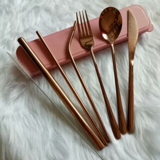 Stainless Utensil Set with Straw and Knife (1)