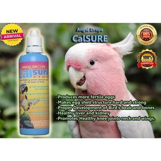 Angel Drops CALSURE 120ml (Blue Bottle) Produces more Fertile Eggs and More (brd)pet food Cat food p
