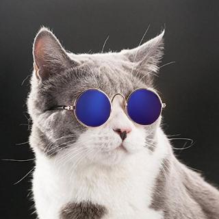 Cool Pet Dog Sunglasses Eye Protection Wear (5)