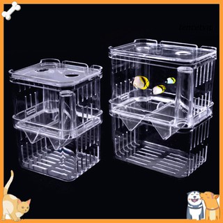 【Vip】Acrylic Transparent Double Layer Aquarium Fish Breeding Isolation Box Incubator