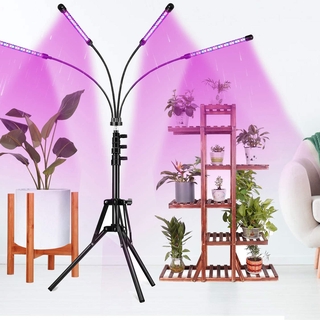 3 Head 4 Head LED Grow Light with Adjustable Tripod 80W Plant Lights with Tripod Stand for Indoor Plants