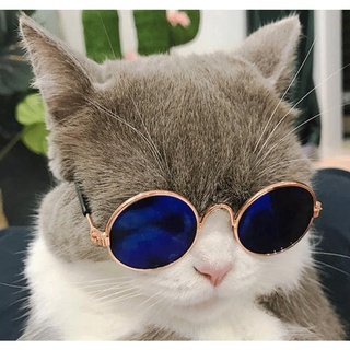 Pet cat glasses fashion cute glasses cat sunglasses cat and dog accessories pet supplies (4)