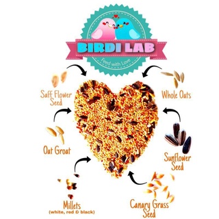 Pet Food□BIRDI LAB Premium Bird Seed Mix African Mix Bird Food 1kg