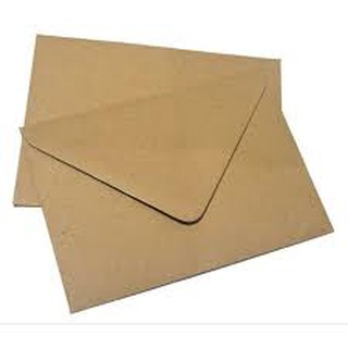Brown Envelope Kraft 100pcs-Long