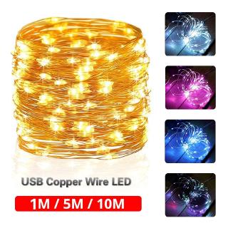 1/5/10M LED USB Power Copper Wire LED String Lights for Holiday Party Wedding