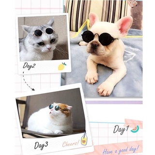 Pet cat glasses fashion trend dog Sunglasses cool photo Sunglasses cute cat dog (5)