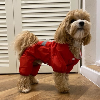 Waterproof Puppy Pet Dog Rain Coat Fashion Dog Raincoat Hooded Reflective Raining Coat Pet Dog Costu