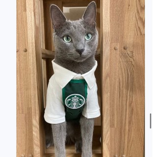 INS grams of Starbucks Korea Star Cat pet clothes small dog Teddy bibs bib aprons clothes cats and dogs (9)
