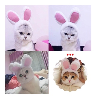 Cat Headgear Cute Bunny Crossover Hat Easter Bunny Ears Pet Hat Rabbit Ears