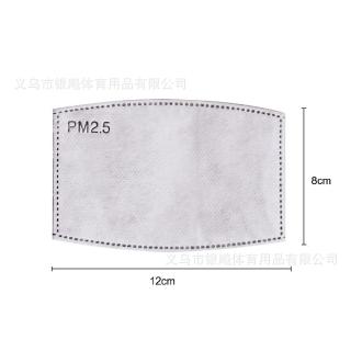 PM2.5 Filter Pad Carbon Gasket for Protective Face Mask Adult Mask (2)