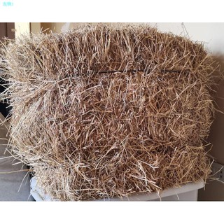 ▬❖Stargrass Hay for Rabbits and Guinea Pigs 500g