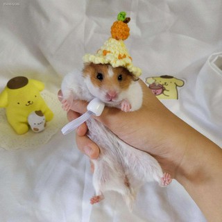 Golden bear hamster hat, crochet wool hat, custom pet hat, bag, small clothes (9)