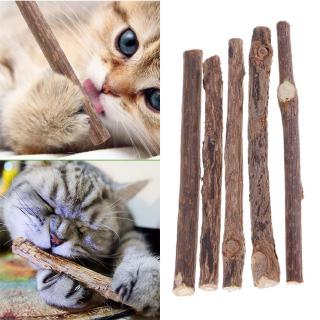 Cat Cleaning Teeth Molar Sticks Pet Cat Silvervine Actinidia Toothpaste Cat Snacks Sticks (1)