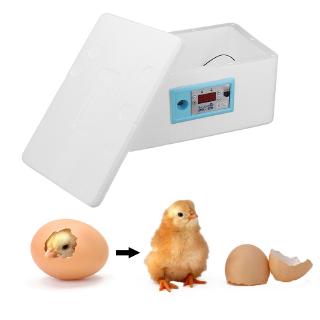 42 egg Incubator Hatcher Chicken Digital Waterbed Automatic Intelligent Thermostat constant (8)