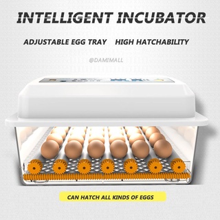 【Ready Stock】✠▤✑220V/12V Eggs Incubator Digital Automatic Egg Incubator Fully Automatic Egg Incuba