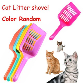 HZ Cat Sand Cleaner Small Solid Candy Color Food Spoon Kitten Hollow Plastic Cat Litter Shovel