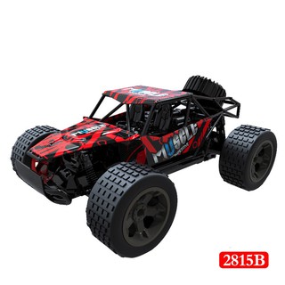 1:20 2WD High Speed RC Racing Car 4WD Truck Buggy Toys