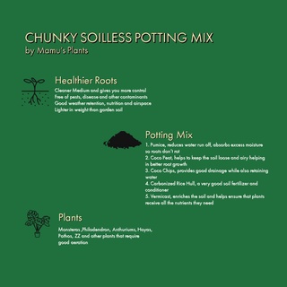 Kayang kaya Chunky Soilless Potting Mix by Mamu's Plants