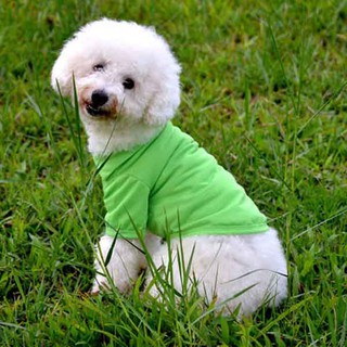 Summer dog Clothes For Small Dogs Pet Clothes