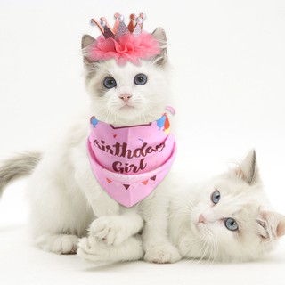 ✹♠❈Pet Dog Cat Birthday Suit Pearl Crown Hat Triangle Saliva Towel Combination Birthday Dress Pet Su