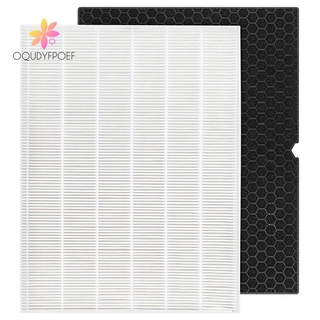 HEPA Replacement Filter H 116130 for Winix 5500-2 Air Purifier - HEPA Filter and Activated Carbon Filter Combo Pack