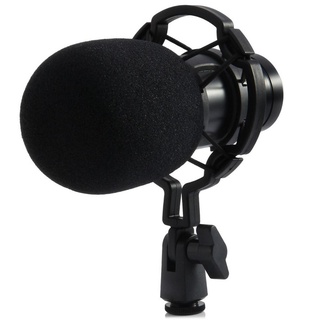 Professional Condenser Microphone Studio Shock Proof Mount Package For Bm800