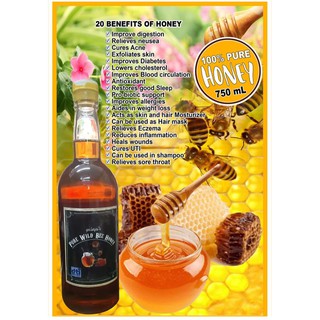 750mL Pure Wild Bee Honey from Quezon Province (4)