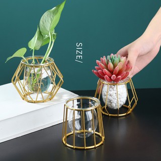 【CD home decor】ins Nordic Style Iron Metal with Glass Vase, Hydroponic Tube Flower Vases, Water Planting Small Vases Office Home Living Room Bedroom Decoration Vases