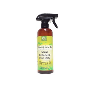 Stayfresh! Canada Natural Antibacterial Room Spray - Refreshing Green Tea (500ml)