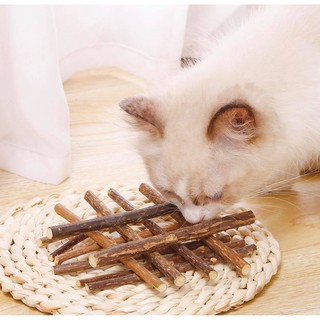 5pieces Cat Cleaning Teeth Natural Catnip Pet Molar Toothpaste Snacks Stick