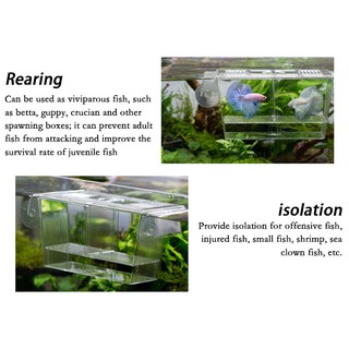 Aquarium Fish Breeding Boxes Double Guppies Hatching Incubator Isolation Aquarium Tanks Durable (3)