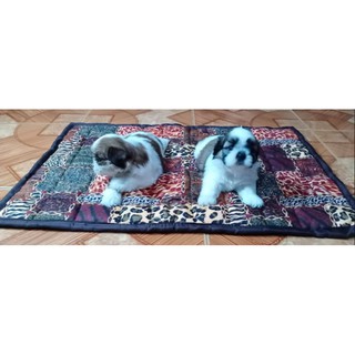 pet bed cat bed dog bet sleeping mat soft pet mat catmat dog mat (4)