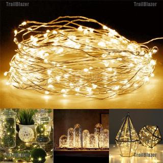TB 1m/2m/3m/5m LED Lights For Party Wedding Christmas (1)