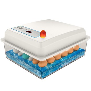New Vida Egg Incubator Automatic small poultry water bed incubator Chick artificial intelligent incubator