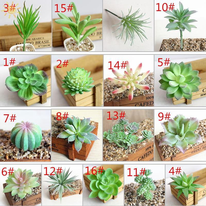 ☀Plastic Succulent Plant Cactus Flower Decor Gift (1)