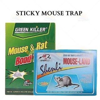 Green Card Power Mouse Rubber Mouse Rat Glue Snare Mouse Traps Book Big Size