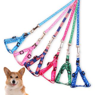 Pet Dog/Cat Leash harness dog leash