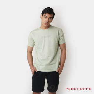 Penshoppe Men's Relaxed Fit Tee With Penshoppe Taping (Seafoam Green/Navy Blue/Sand)