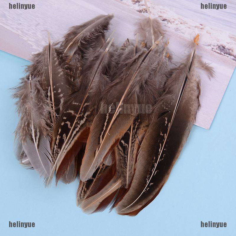 50pcs/set pheasant feathers 5-10cm chicken plumes for carniv