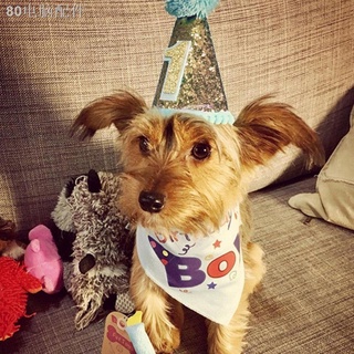 ✁﹍✹Headwear Dog Cat Accessory Pet Birthday Party Costume Hat